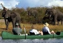 Half Day Zambezi Canoe Safari